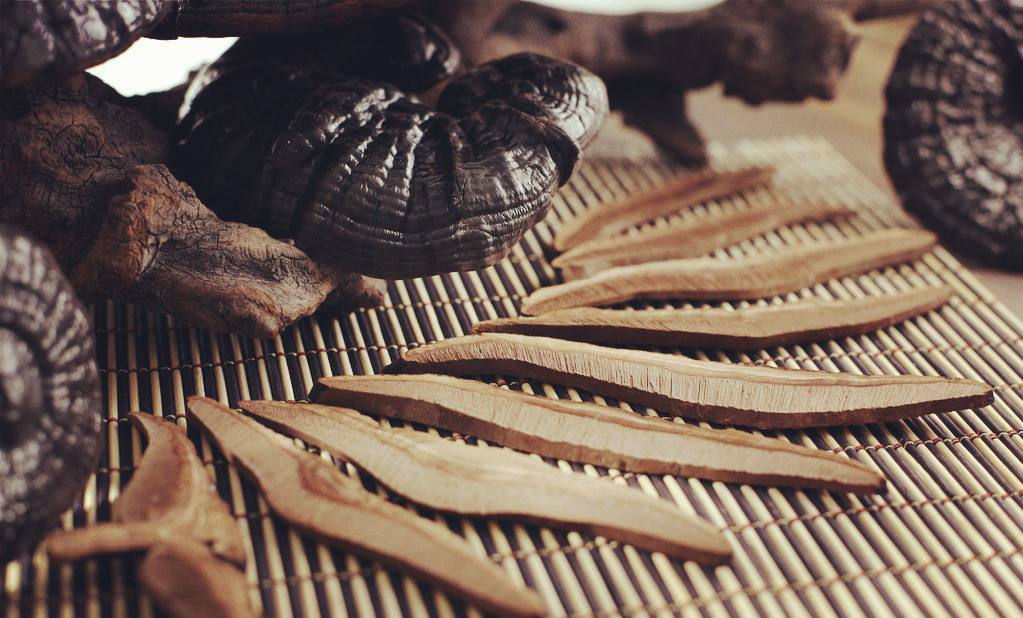 女孩子学中医有前途吗,零基础怎样开始学中医