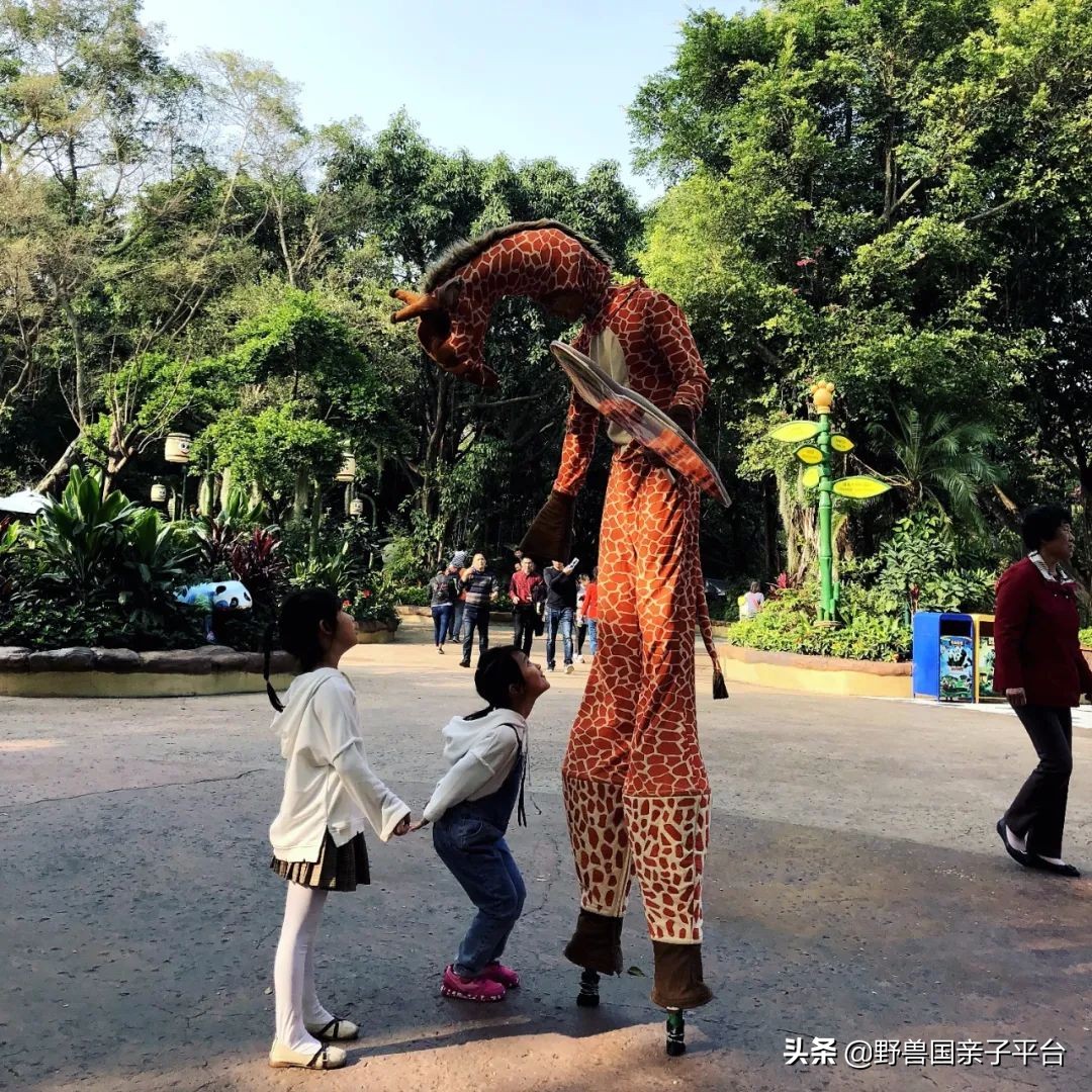 广州遛娃旅游推荐路线攻略,广州遛娃清单升级版