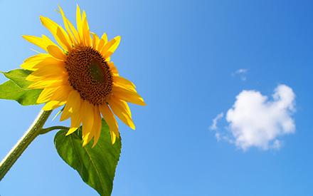 一波多折！54岁妇女，自以为绝经，医生怀疑癌症，检查却提示怀孕