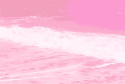 少女心炸裂的粉红沙滩真的很网红,网红打卡被人骗