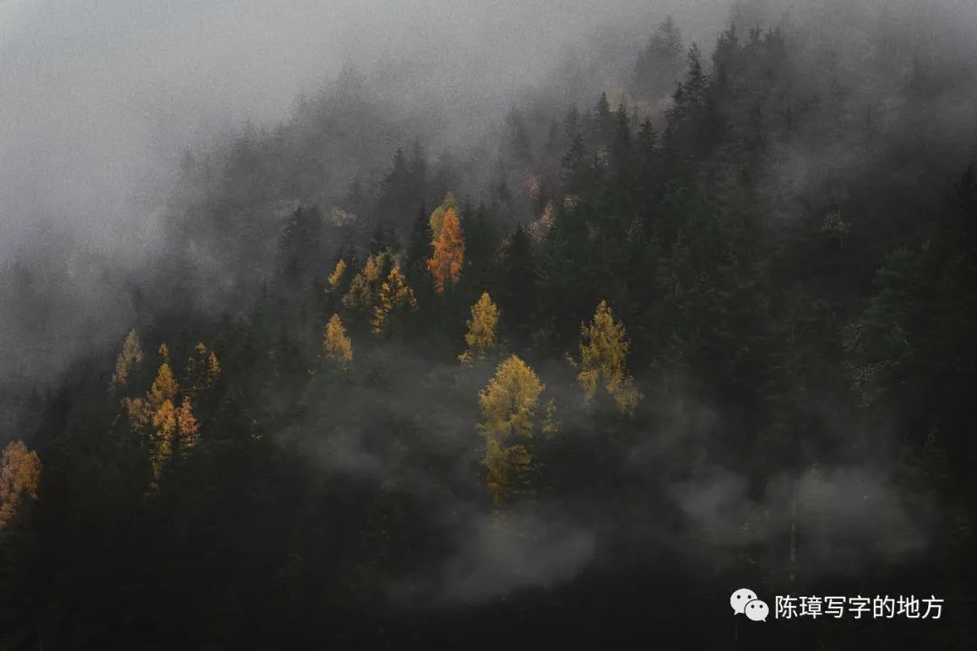 微商跟传销有区别吗,微商和传销区别是什么