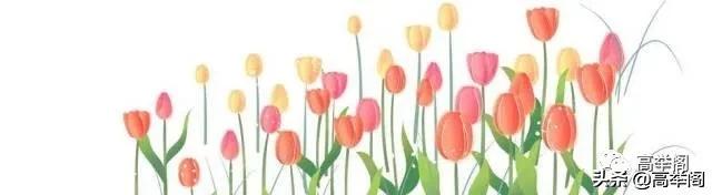 桃花源文库||王成宗（湖南）《俗语拟题，美不胜收》