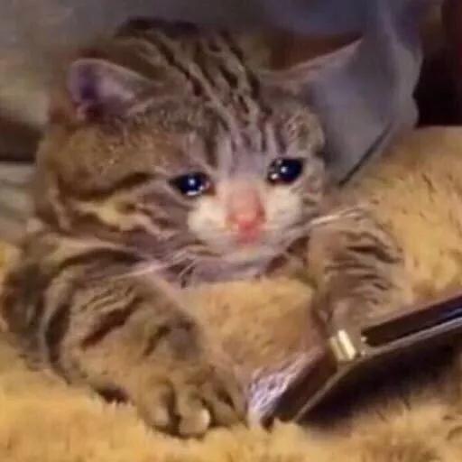 接班《鬼怪》的高分韩剧这女主的颜值也太平平无奇了…