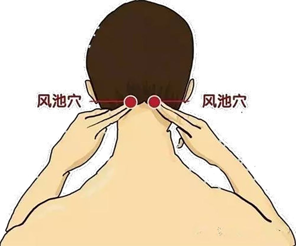 风池穴按摩治颈椎视频,风池穴按压头痛