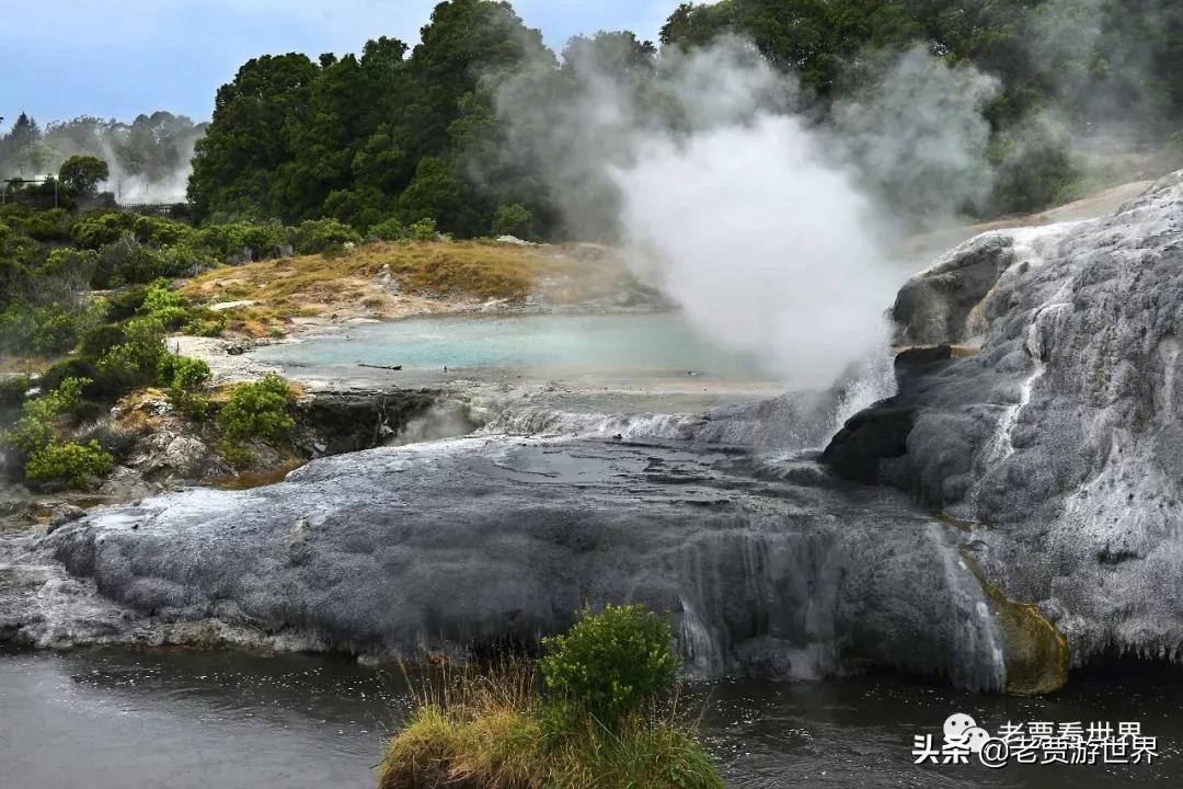 新西兰的五个漂亮的地方,新西兰最好的五大城市