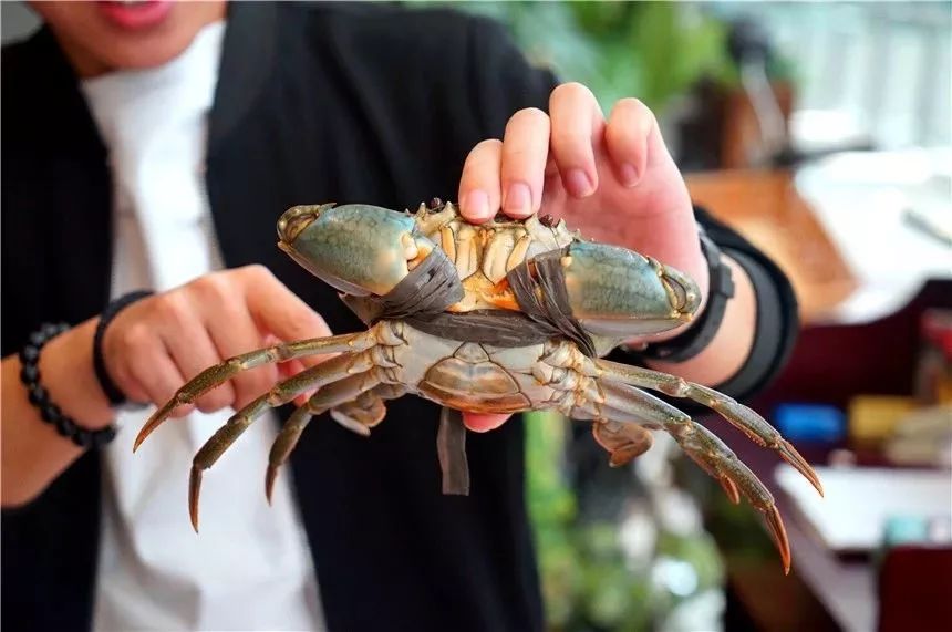 老板疯了五元一桌子菜,老板疯了系列零食