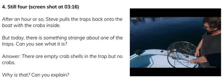 适合课堂放的小视频,课堂轻松小视频