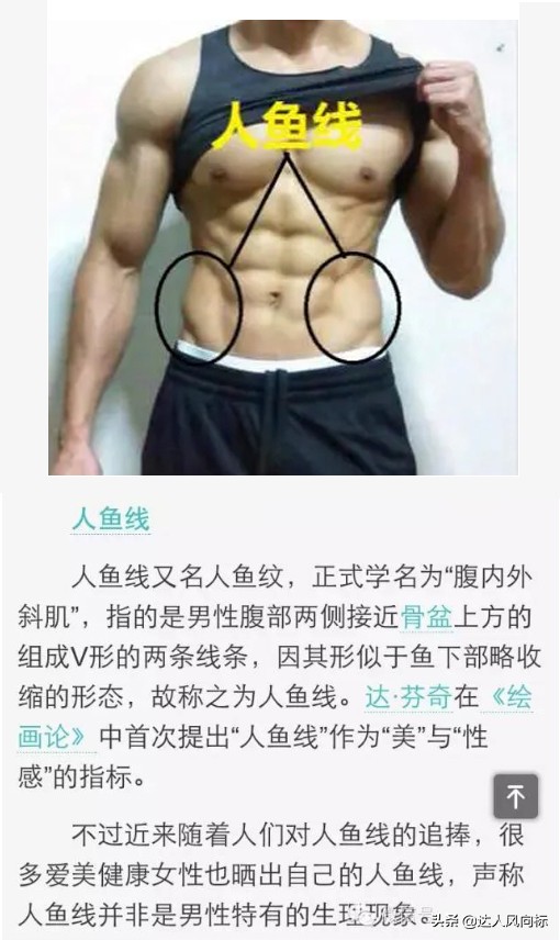 男女生身高体重标准对照表,标准衣服码数对照表身高体重