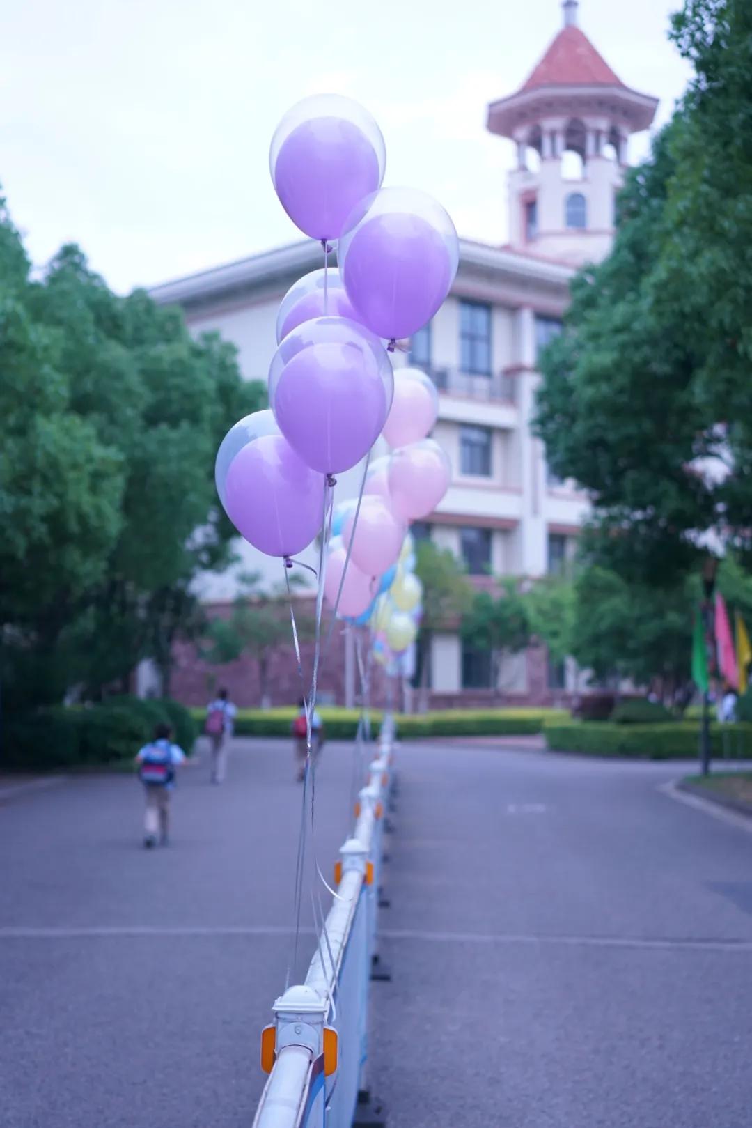 南京河西名校,南京河西中最好的学区