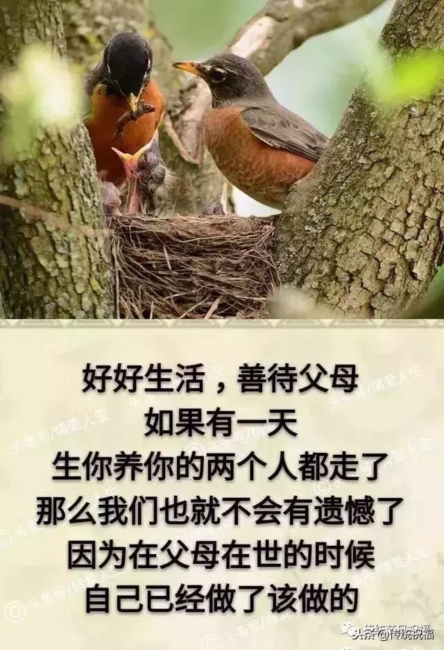 我的家庭相册怎么弄,我的家庭相册全集