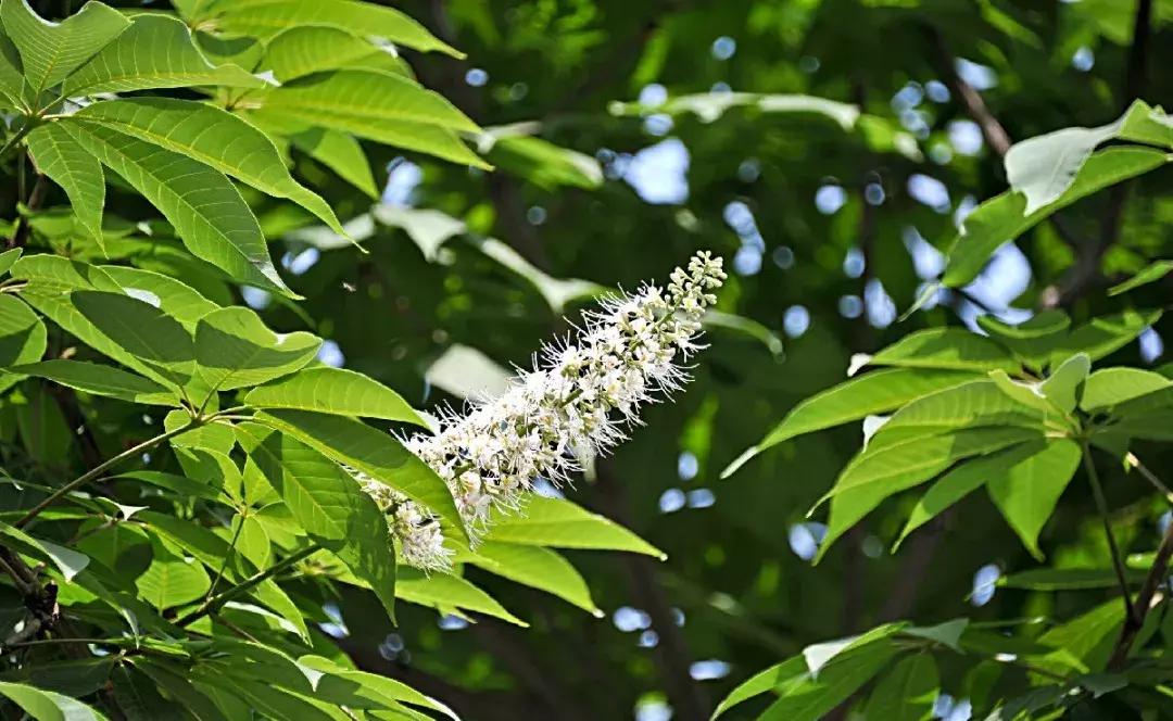 清明去哪儿玩|盘点那些值得打卡的北京周边小众景点！