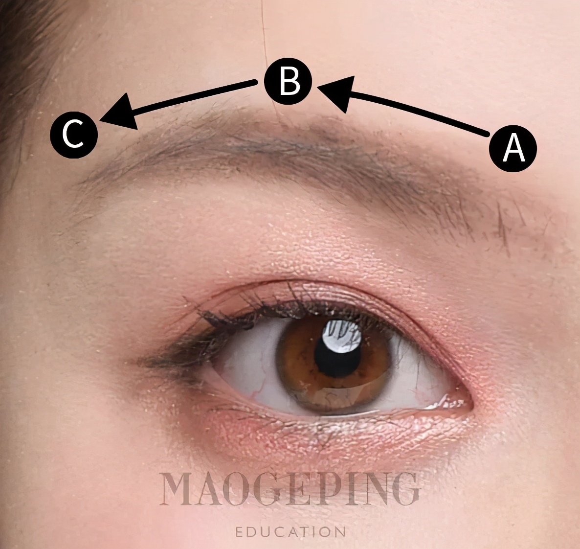 化妆使用气垫的正确步骤顺序,早上擦脸化妆的正确步骤顺序