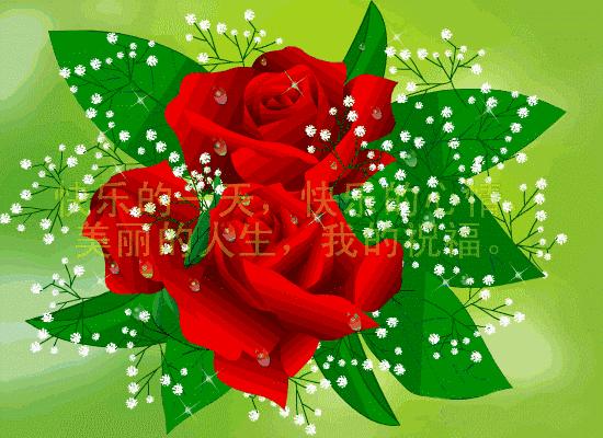 520动态表情图片大全,520表情图片大全2024