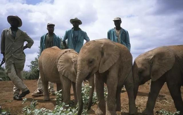 出国打工的真实收入及年纪要求,出国打工到底能挣多少钱
