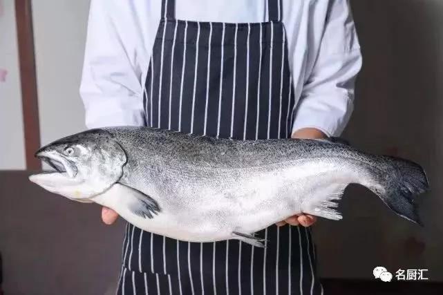 世界高端海鲜品牌,世界顶级海鲜在哪里