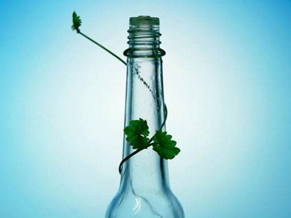 防蚊叮咬最好的方法,防蚊叮咬最好的办法