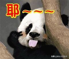 张裕卡斯特酒庄免费参观,烟台张裕卡斯特酒庄攻略