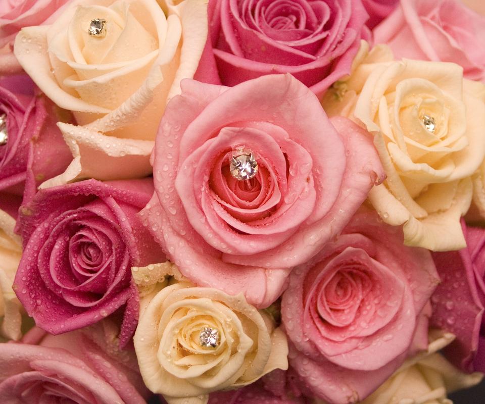 玫瑰花语全集图片,21支玫瑰花语