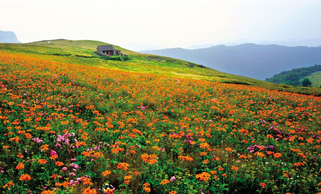 太原出发自驾二日游去哪里比较好,太原到碛口古镇自驾最佳路线攻略