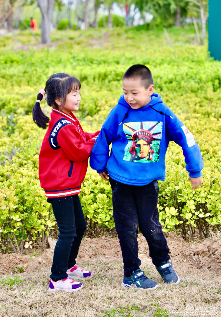 金色童年8张图片,金色的童年相片