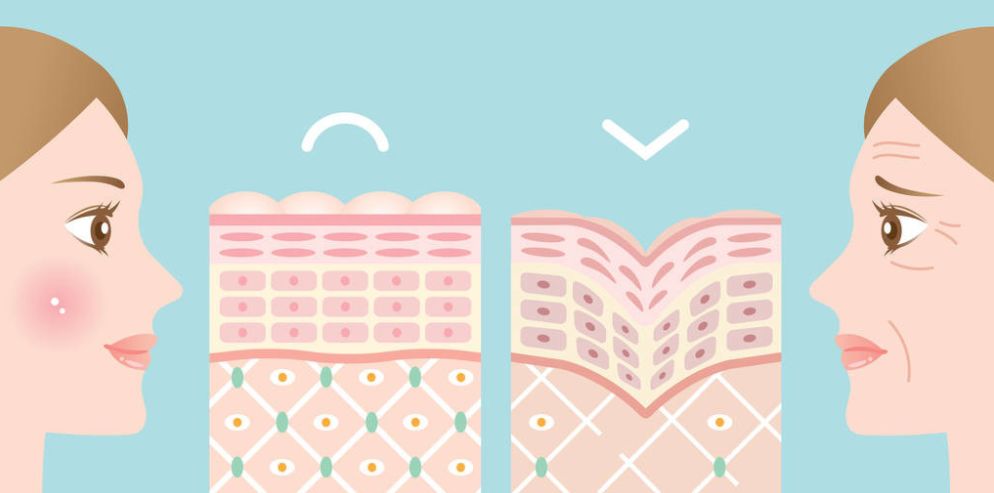 皮质醇高练完长肥肉,掉肌肉长脂肪该怎么办