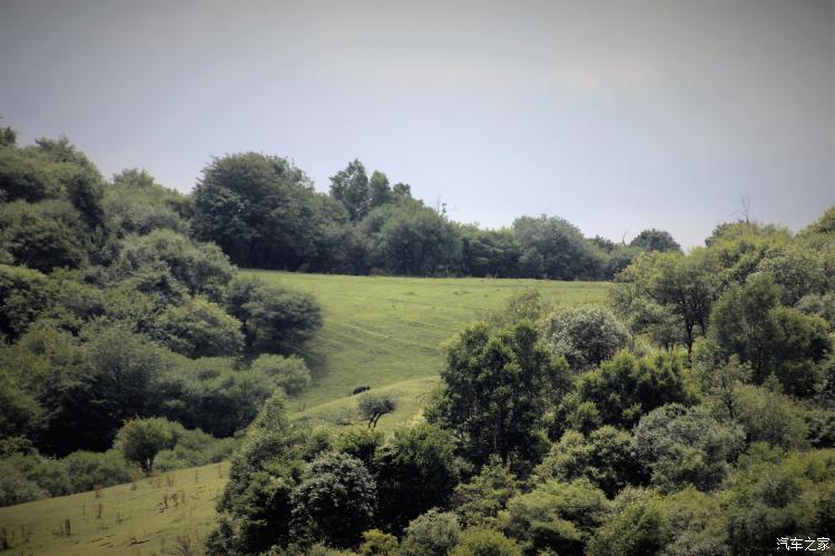 难忘的草原简谱完整版,难忘的草原女声完整版