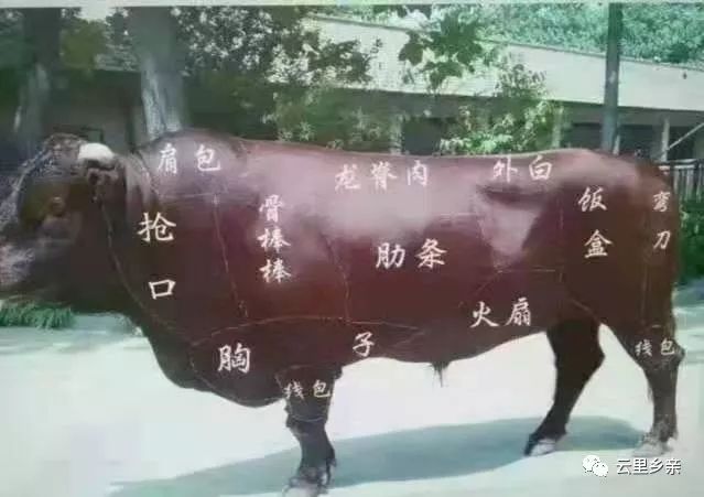 云南牛干巴的正确吃法,回民牛干巴的吃法