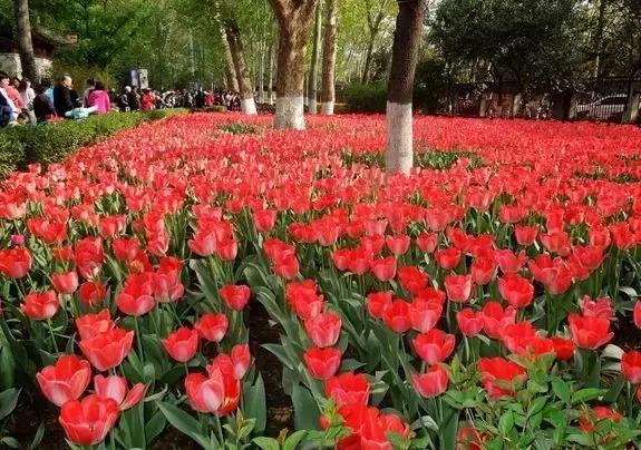随便选个地方旅游,西安周边海边游玩景点推荐