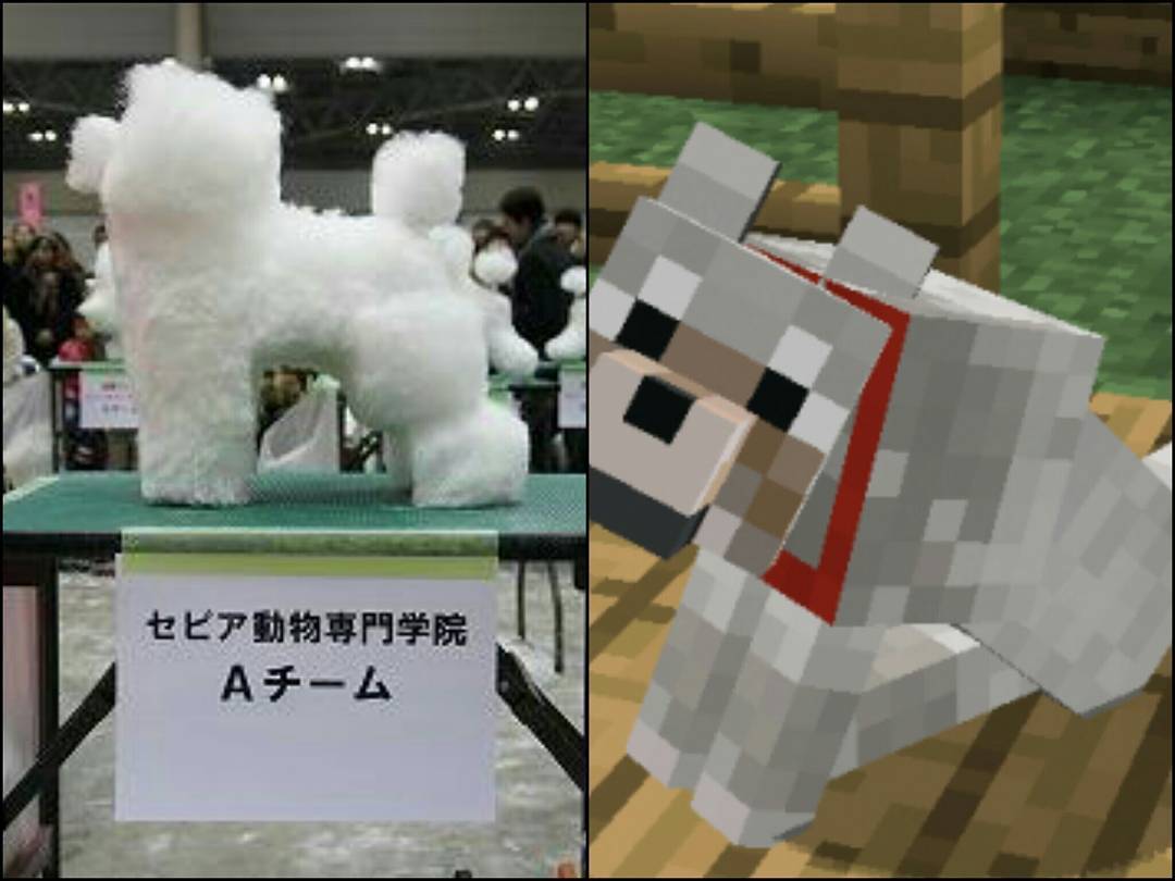 minecraft里的狗怎么才能有,minecraft如何养熊猫