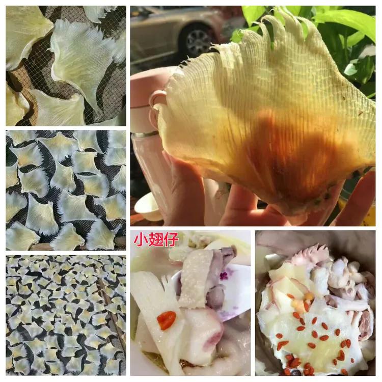 海陵岛闸坡渔港,海陵岛闸坡世界级渔港码头