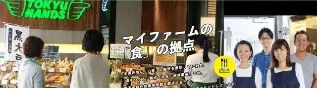 农庄餐饮怎么经营赚钱,怎么经营农家乐卖菜生意