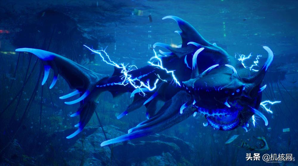 食人鲨从哪里买的,食人鲨值得买吗