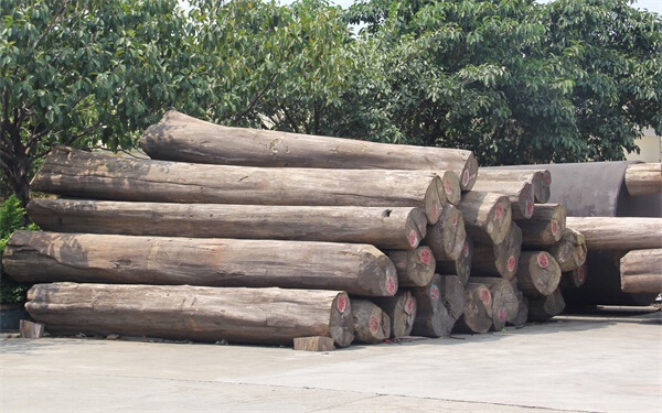 常见木材的种类档次,常见木材的种类简介及图片