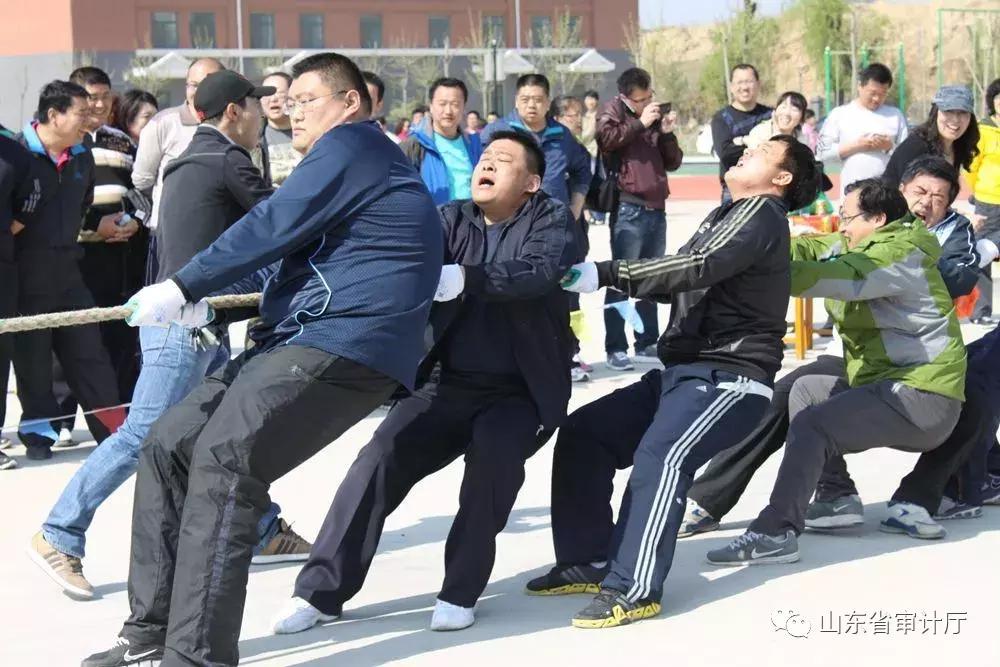 这一年收获颇丰,这一年收获了太多的温暖与感动