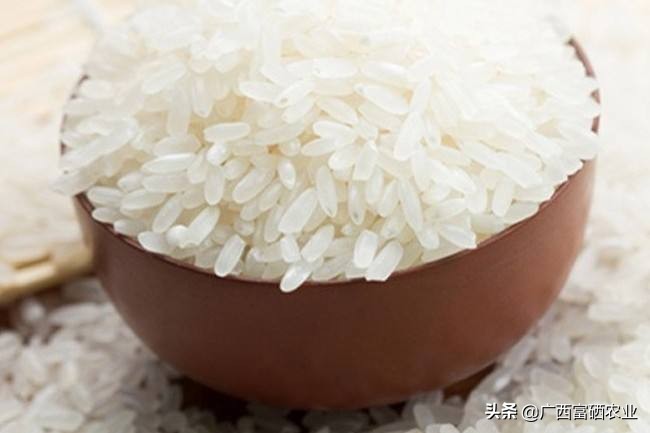 广西贵港富硒大米,富硒大米产地广西