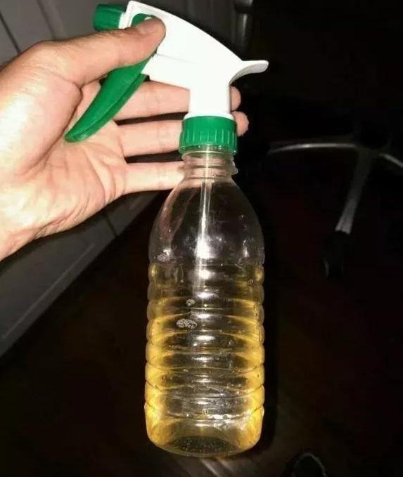 绿萝喝点什么水不黄叶,绿萝最爱喝的四种水