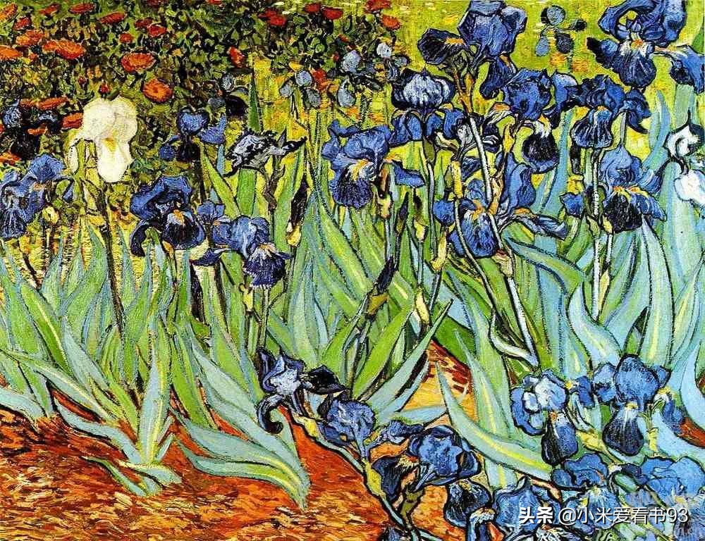 万字重磅解读,梵高传作品及解说