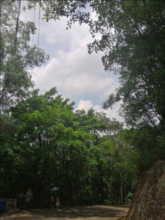 东莞旗峰公园掠影,东莞旗峰公园大体俯视图片