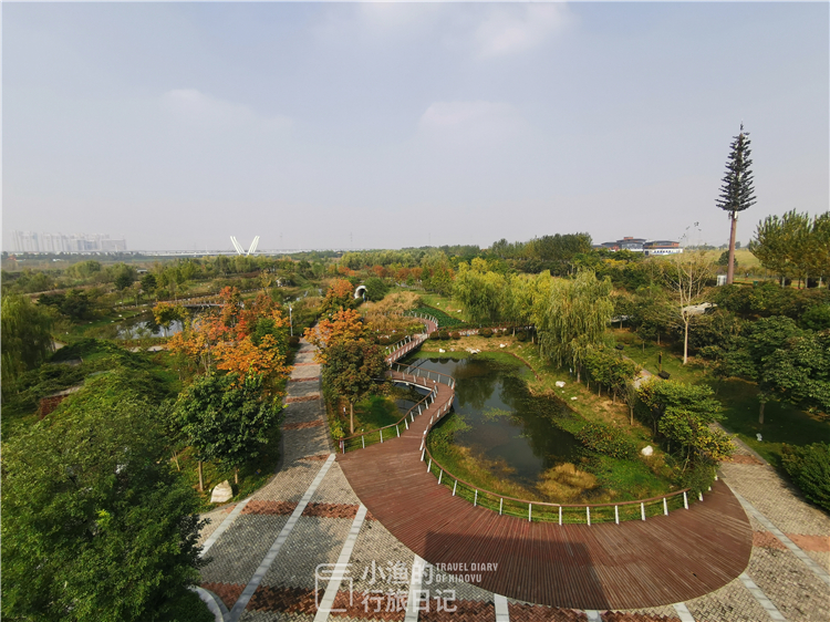 西安适合拍照的湿地公园,西安湿地公园赏花