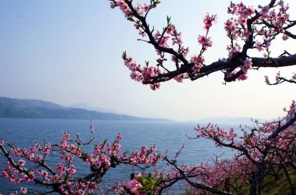 杨广为啥喜欢陈夫人,杨广为啥喜欢他爹的女人