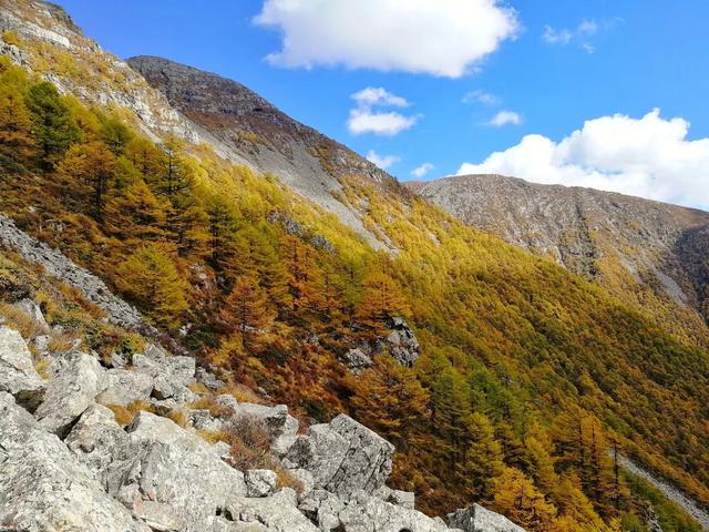 秦岭主峰太白山一日游,陕西秦岭太白山之旅