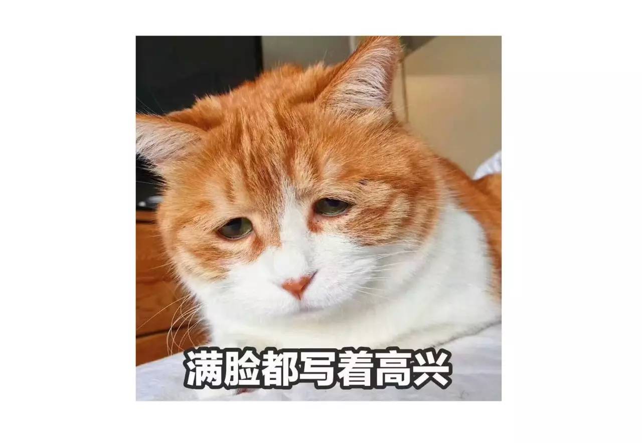 父母的房子装修设计该不该管,新房装修交给装修公司也非常操心