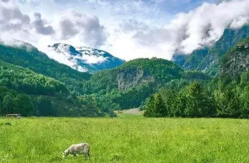 挪威旅行感受,挪威旅行的感受