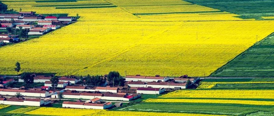 低门槛适合年轻人创业项目大全,最新适合年轻人低成本创业项目