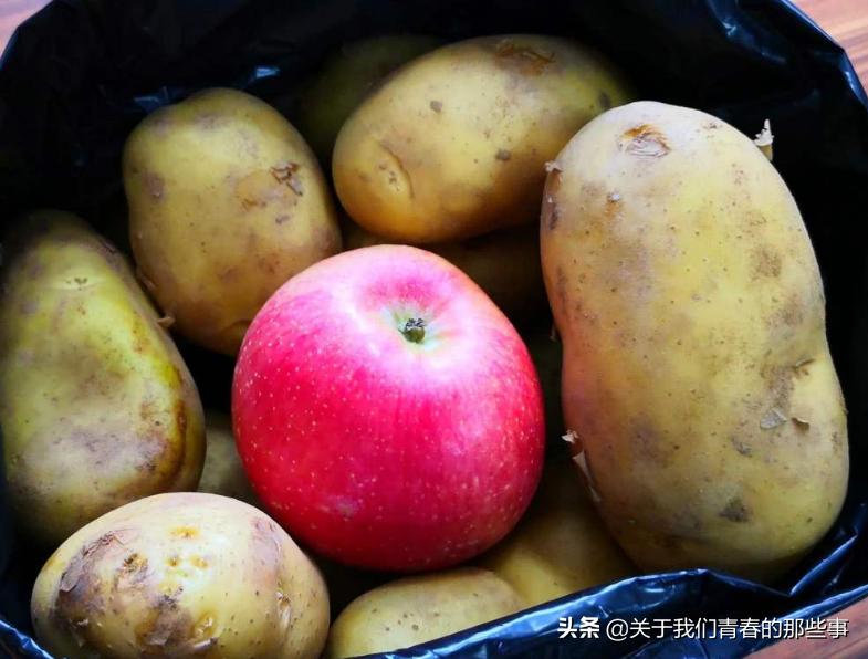 土豆发小芽没变青还能吃吗,土豆这样存一年都不变青不发芽
