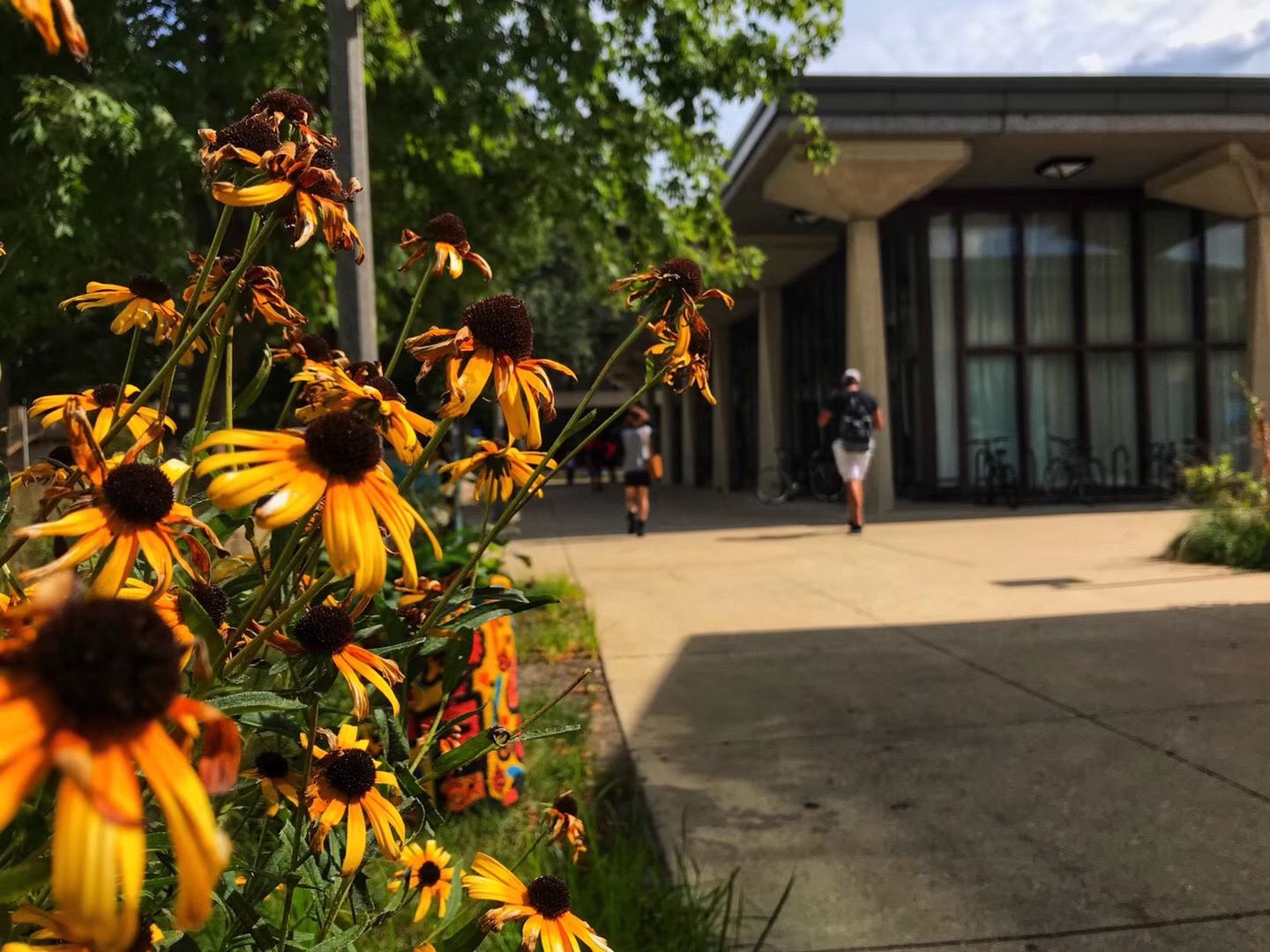 美国精算专业及在美就业方向,美国留学精算专业就业怎么样