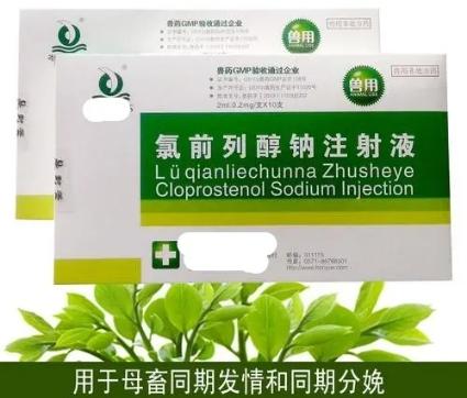 母猪授精用什么办法下小猪多,如何让母猪白天产仔