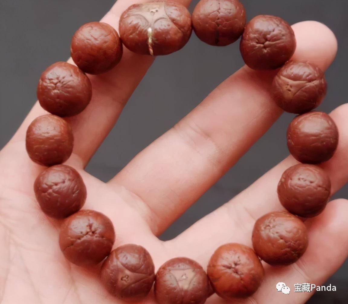 苍龙眼龙眼菩提,龙眼菩提和凤眼菩提寓意