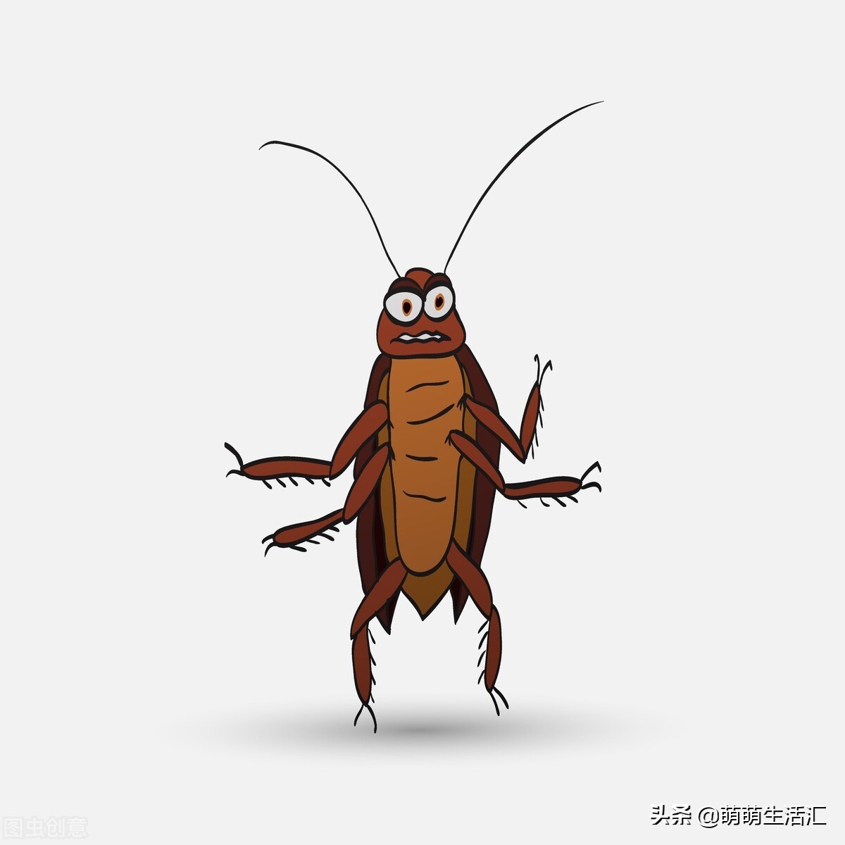 家里好多虫子像蟑螂又不是蟑螂,家里有蟑螂怎么办最简单的方法