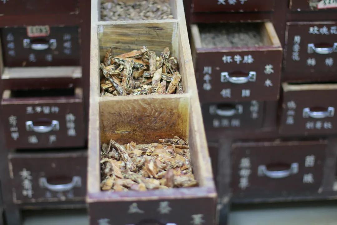 有关中药的常见问题,常见中药质量问题有哪些